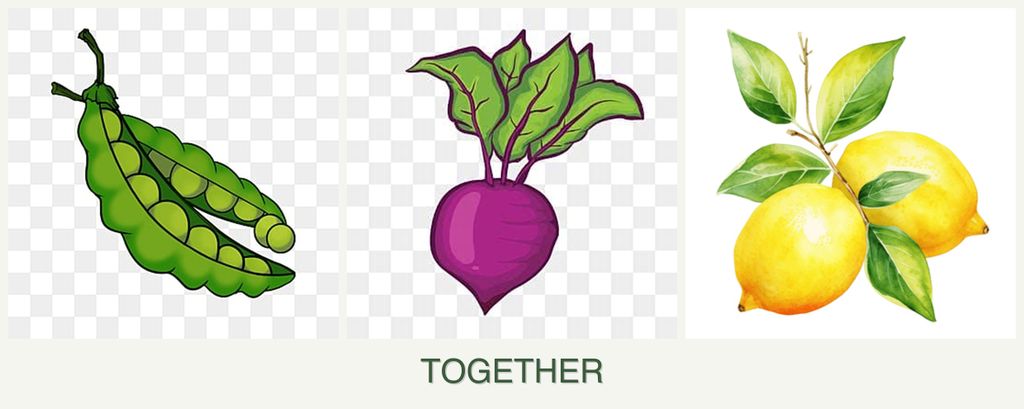 Can you plant peas, beets and lemons together?