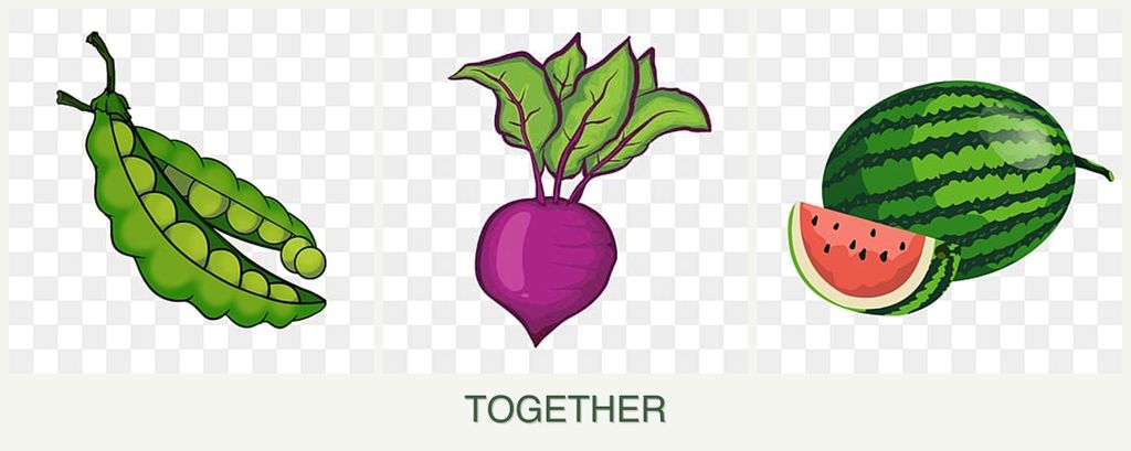 Can you plant peas, beets and melons together?