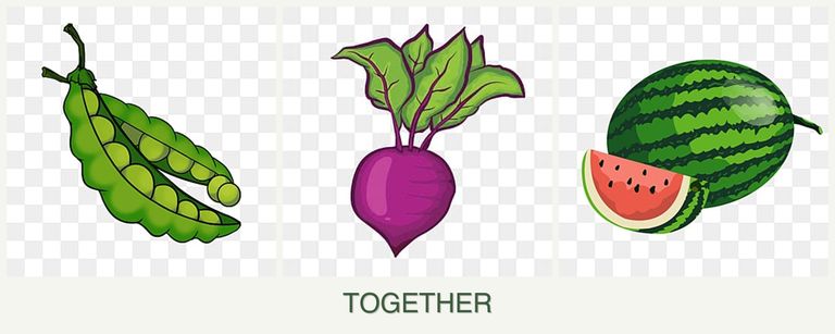 Can you plant peas, beets and melons together?