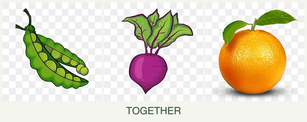 Can you plant peas, beets and oranges together?