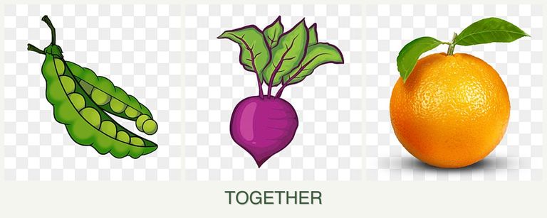Can you plant peas, beets and oranges together?