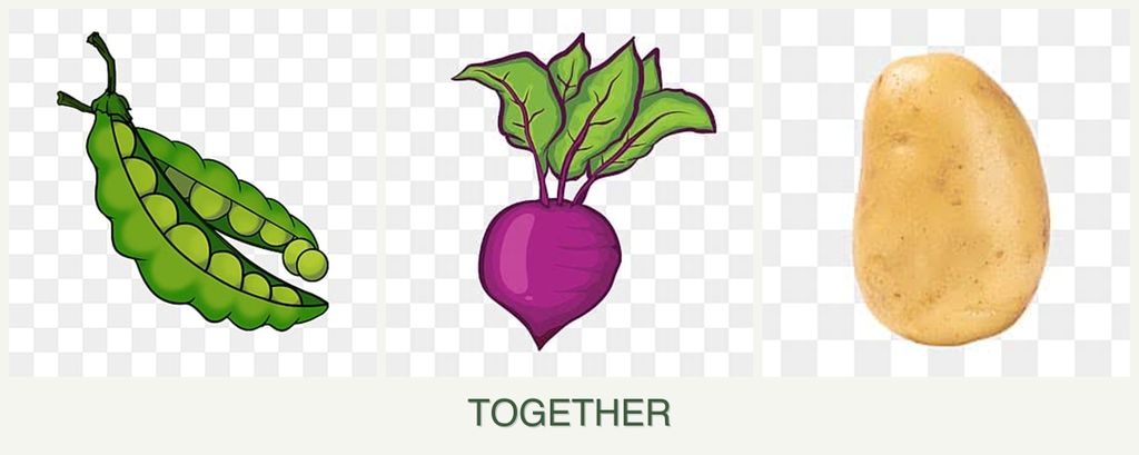 Can you plant peas, beets and potatoes together?