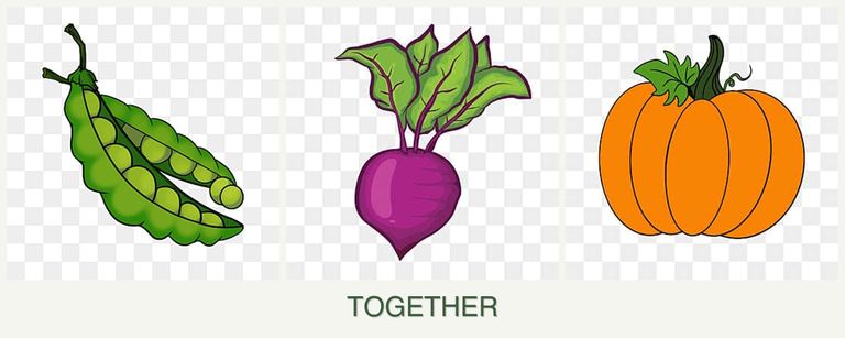 Can you plant peas, beets and pumpkin together?