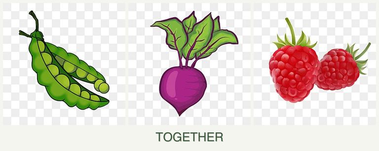 Can you plant peas, beets and raspberries together?