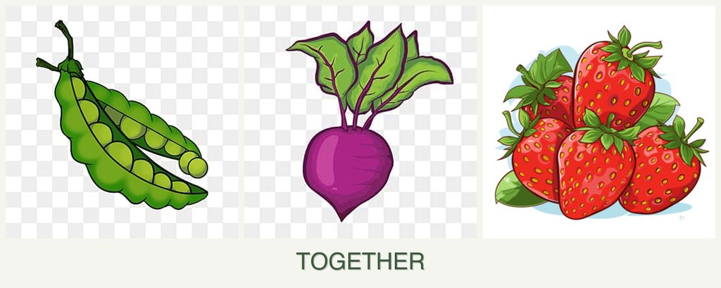 Can you plant peas, beets and strawberries together?