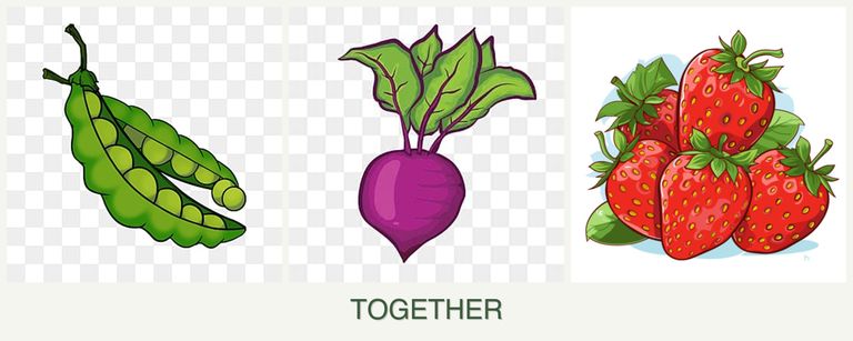 Can you plant peas, beets and strawberries together?