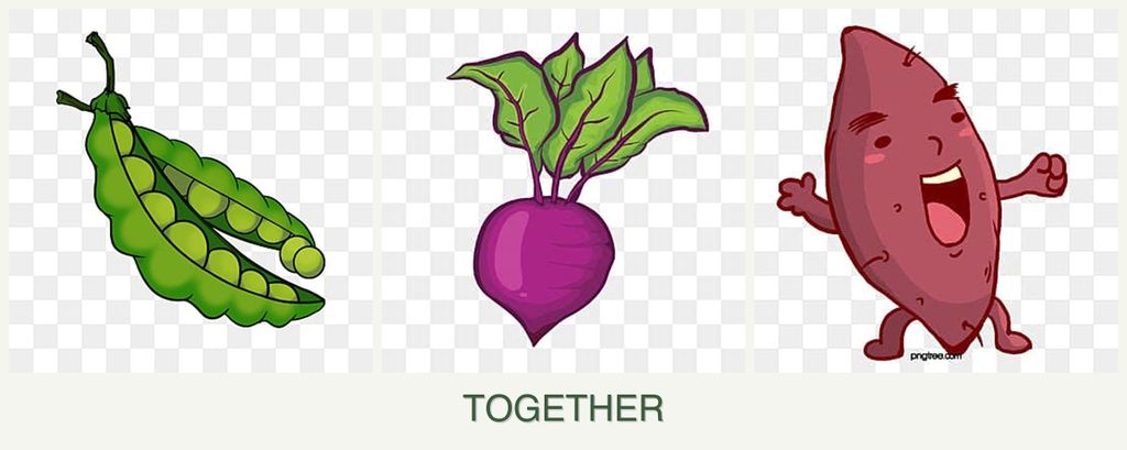Can you plant peas, beets and sweet potatoes together?