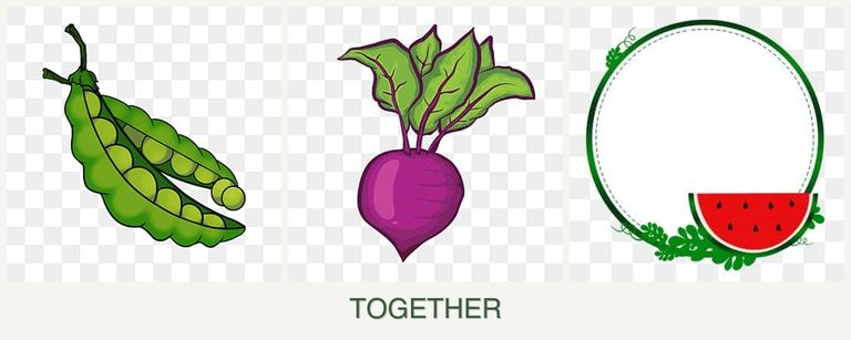 Can you plant peas, beets and watermelons together?
