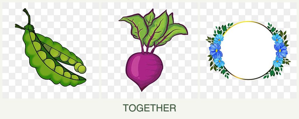 Can you plant peas, beets and zinnias together?
