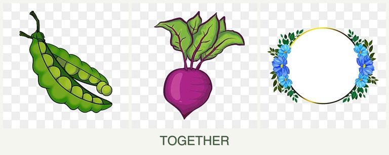 Can you plant peas, beets and zinnias together?