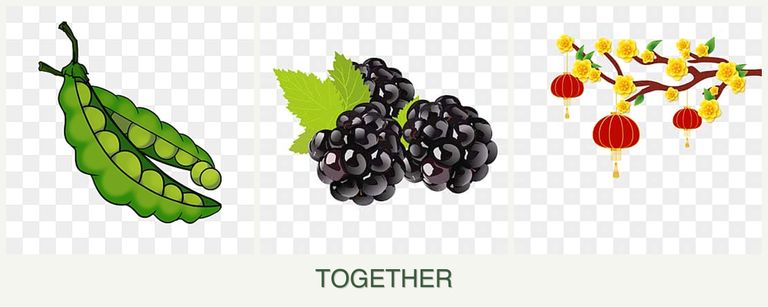 Can you plant peas, blackberries and apricots together?