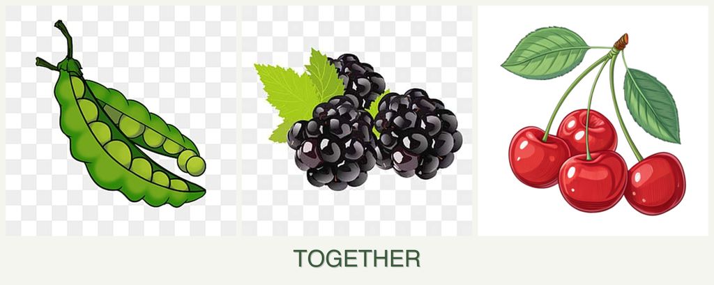 Can you plant peas, blackberries and cherries together?
