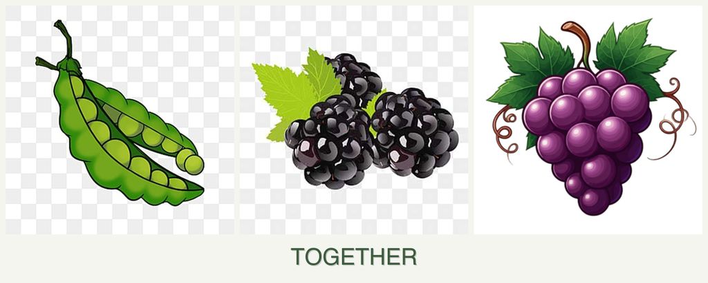 Can you plant peas, blackberries and grapes together?