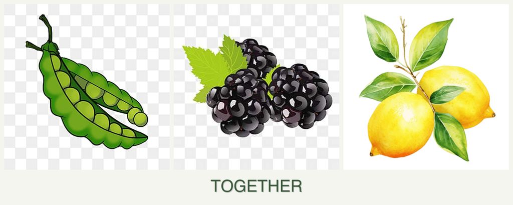 Can you plant peas, blackberries and lemons together?
