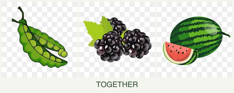 Can you plant peas, blackberries and melons together?
