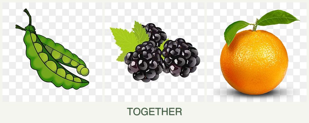 Can you plant peas, blackberries and oranges together?