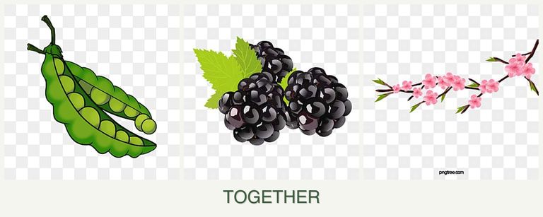 Can you plant peas, blackberries and peaches together?