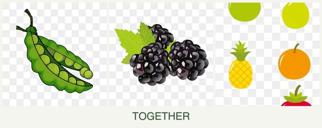 Can you plant peas, blackberries and pears together?