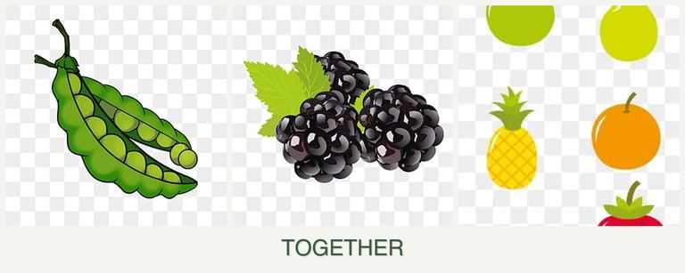 Can you plant peas, blackberries and pears together?