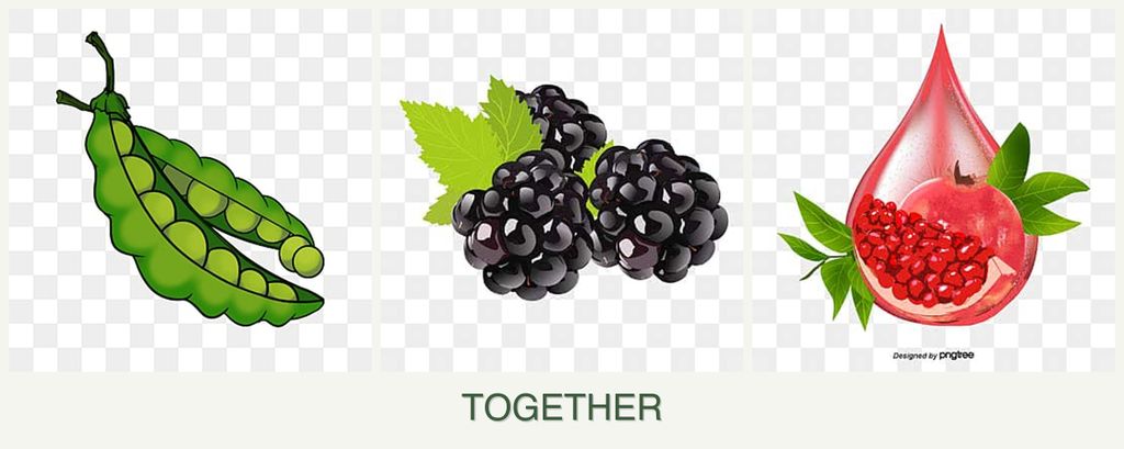 Can you plant peas, blackberries and pomegranates together?