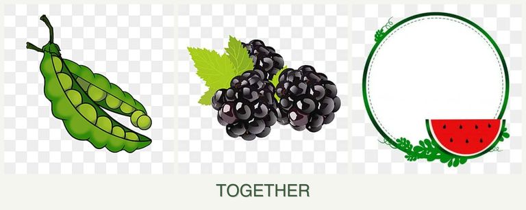 Can you plant peas, blackberries and watermelons together?
