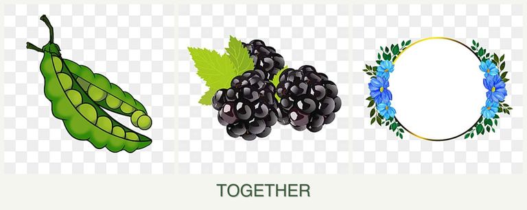 Can you plant peas, blackberries and zinnias together?