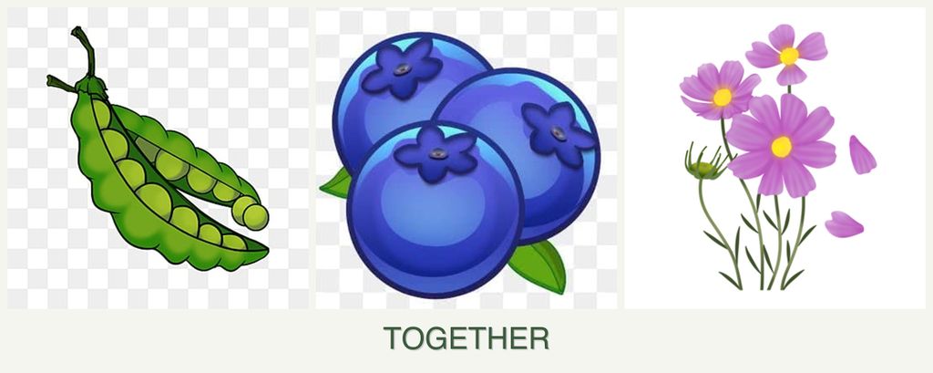 Can you plant peas, blueberries and cosmos together?