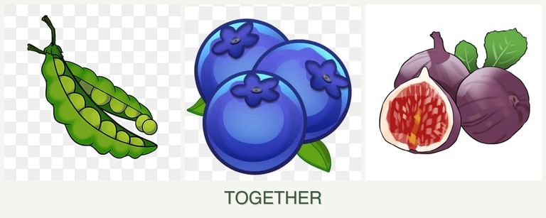 Can you plant peas, blueberries and figs together?