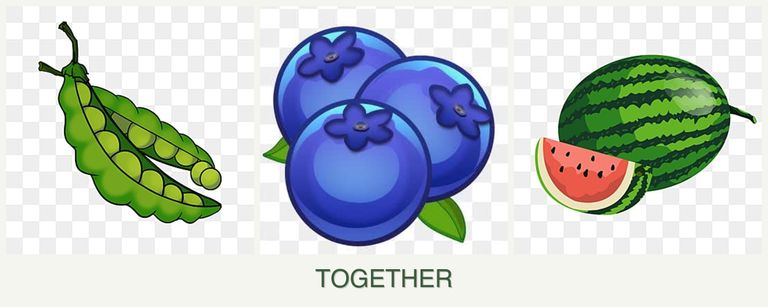 Can you plant peas, blueberries and melons together?