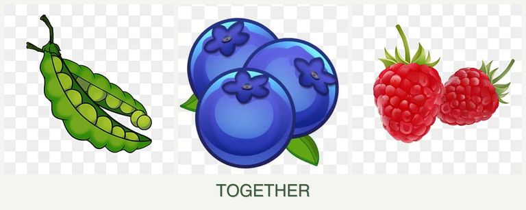 Can you plant peas, blueberries and raspberries together?