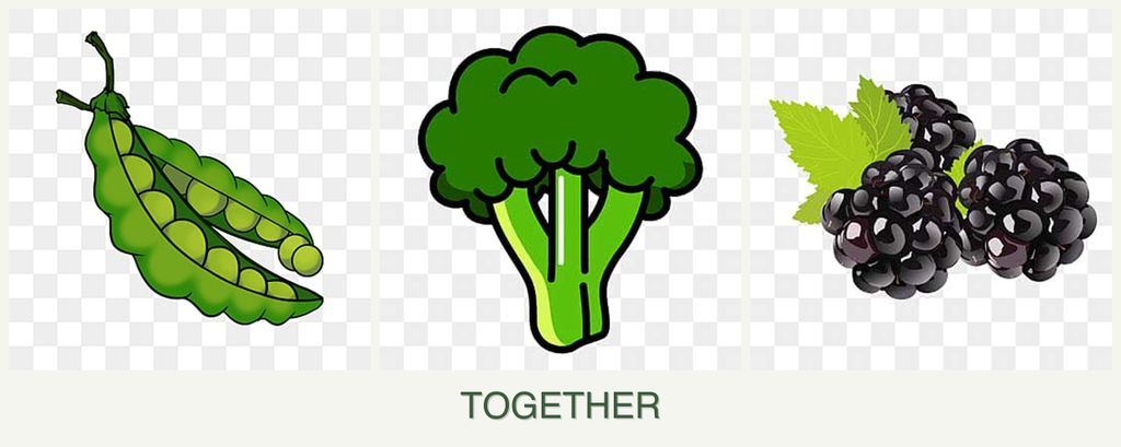 Can you plant peas, broccoli and blackberries together?