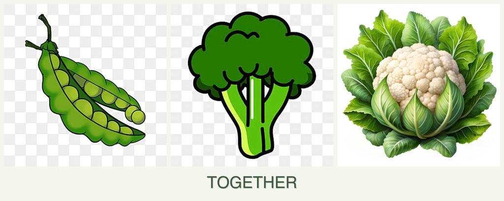 Can you plant peas, broccoli and cauliflower together?