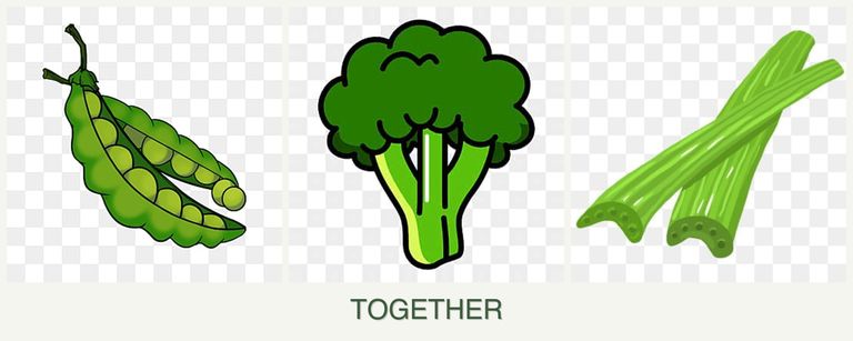 Can you plant peas, broccoli and celery together?