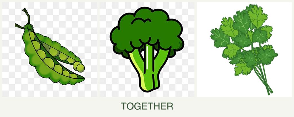 Can you plant peas, broccoli and cilantro together?
