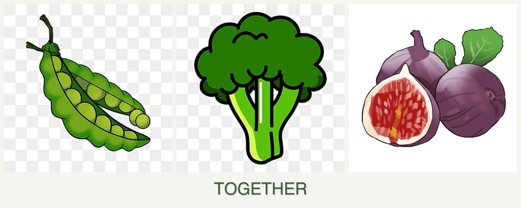 Can you plant peas, broccoli and figs together?