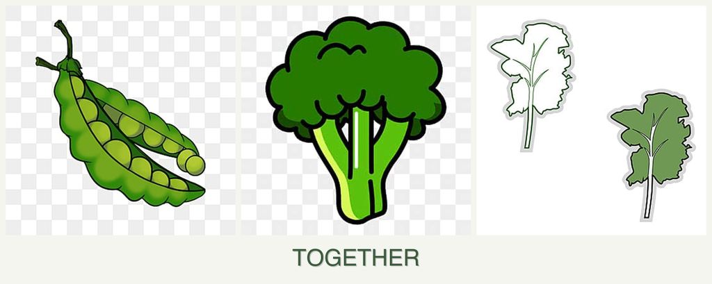 Can you plant peas, broccoli and kale together?