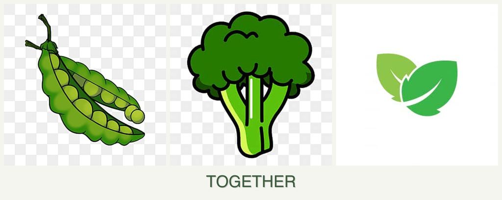 Can you plant peas, broccoli and mint together?