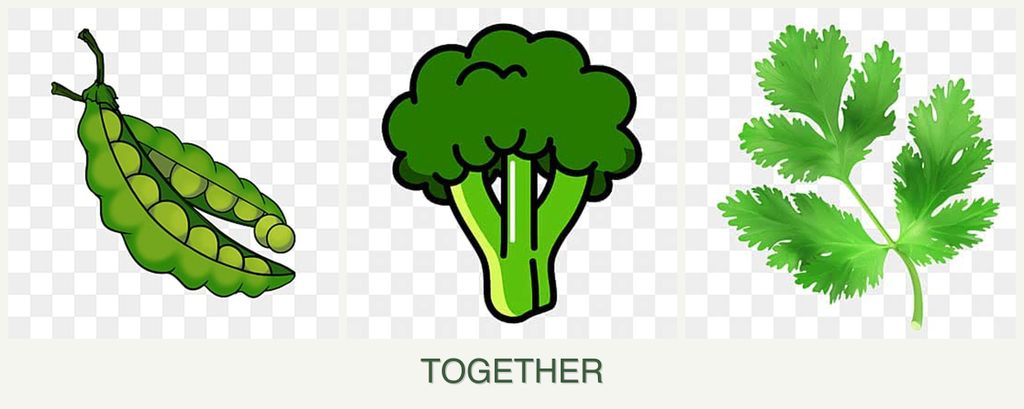 Can you plant peas, broccoli and parsley together?