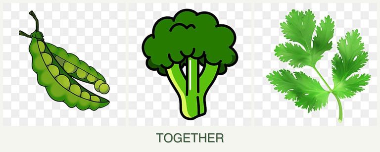 Can you plant peas, broccoli and parsley together?
