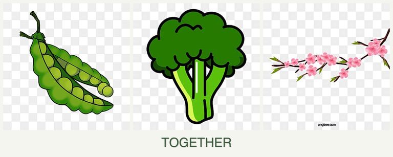 Can you plant peas, broccoli and peaches together?