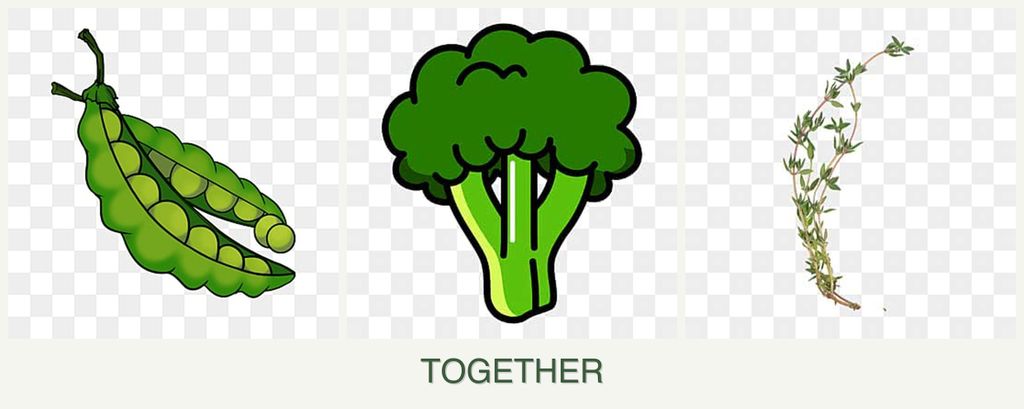 Can you plant peas, broccoli and thyme together?