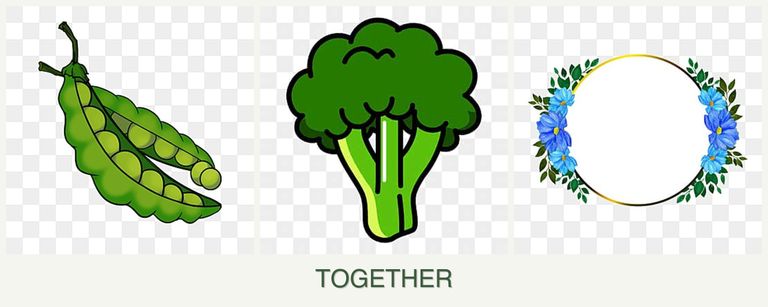 Can you plant peas, broccoli and zinnias together?