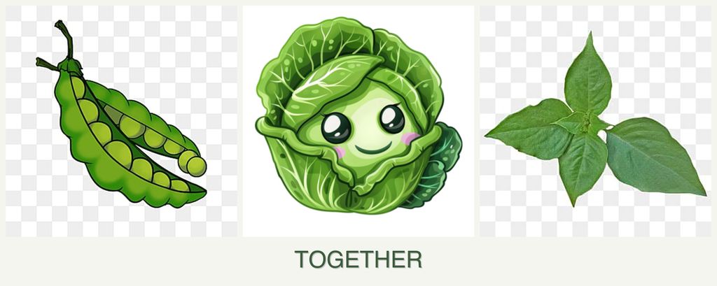 Can you plant peas, cabbage and basil together?