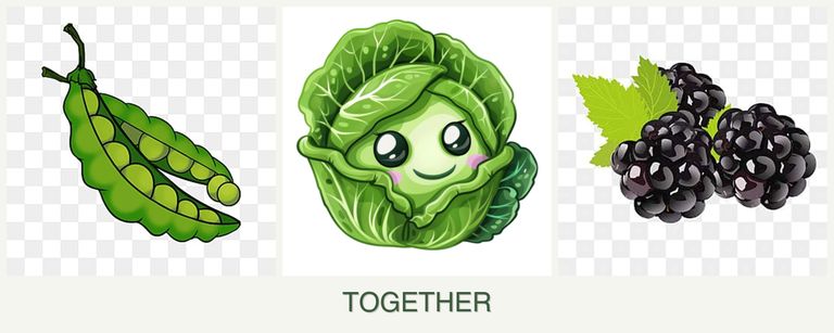 Can you plant peas, cabbage and blackberries together?