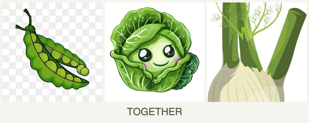 Can you plant peas, cabbage and fennel together?