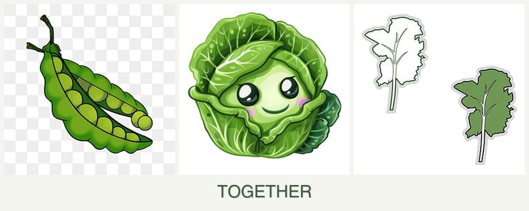 Can you plant peas, cabbage and kale together?