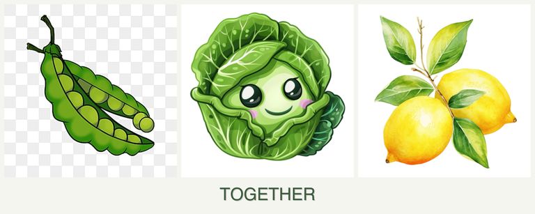 Can you plant peas, cabbage and lemons together?