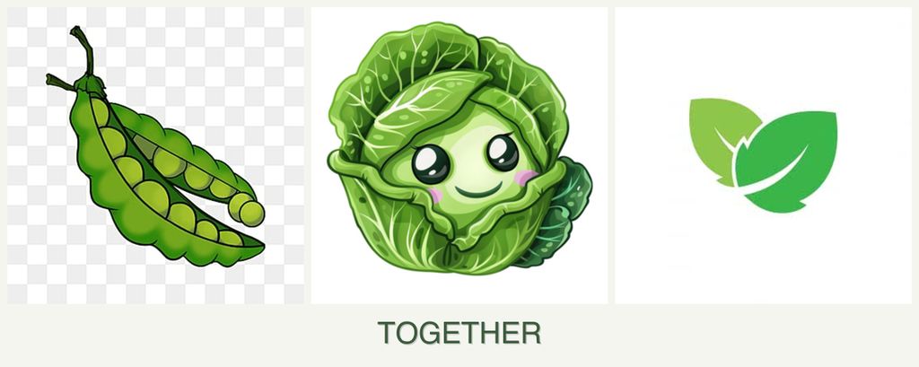 Can you plant peas, cabbage and mint together?