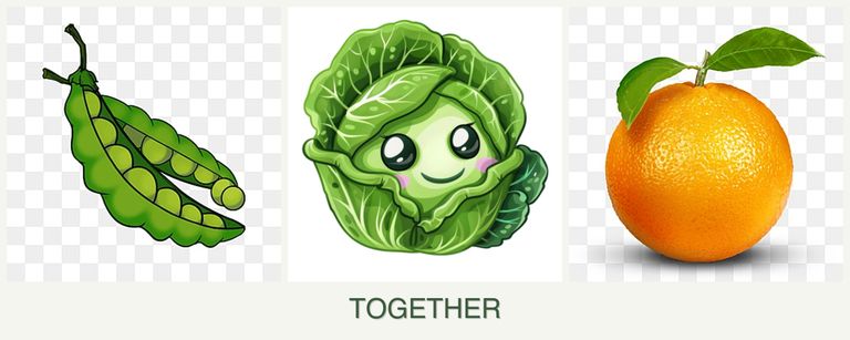 Can you plant peas, cabbage and oranges together?