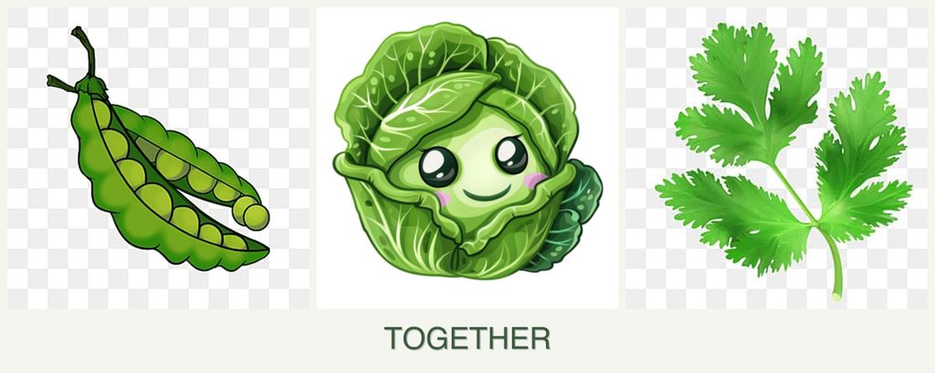 Can you plant peas, cabbage and parsley together?